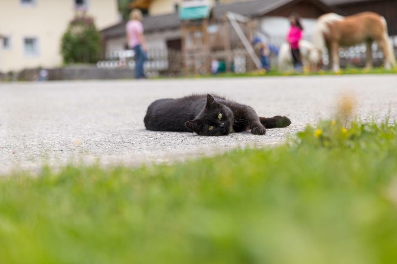 Hieserhof Neustift im Stubaital Eksteriør bilde