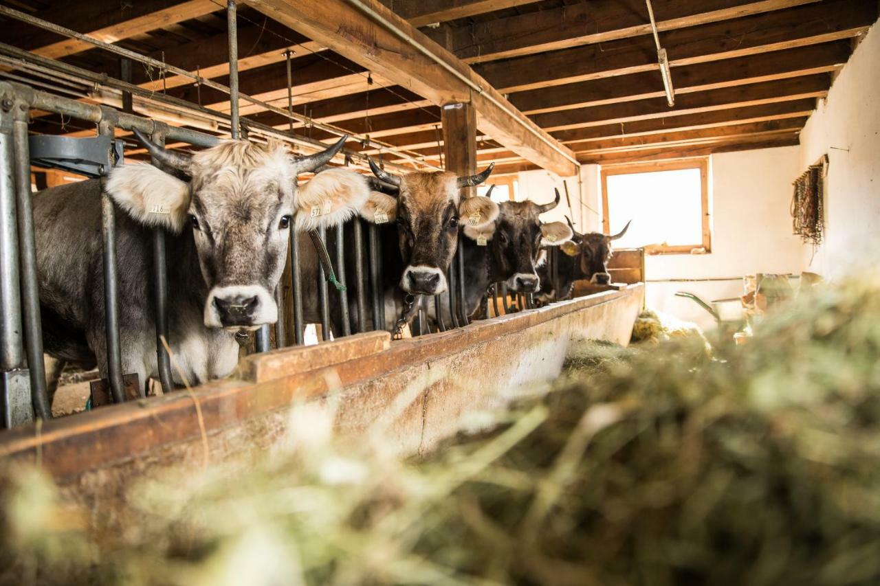 Hieserhof Neustift im Stubaital Eksteriør bilde